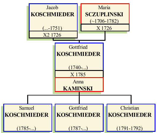 gottfried-koschmieder.png