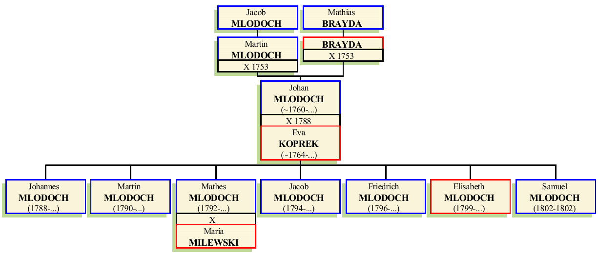 johann-mlodoch-oo1788.png