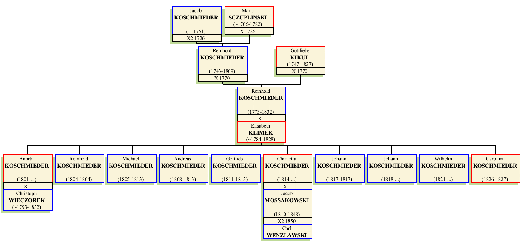 reinhold-II-koschmieder.png