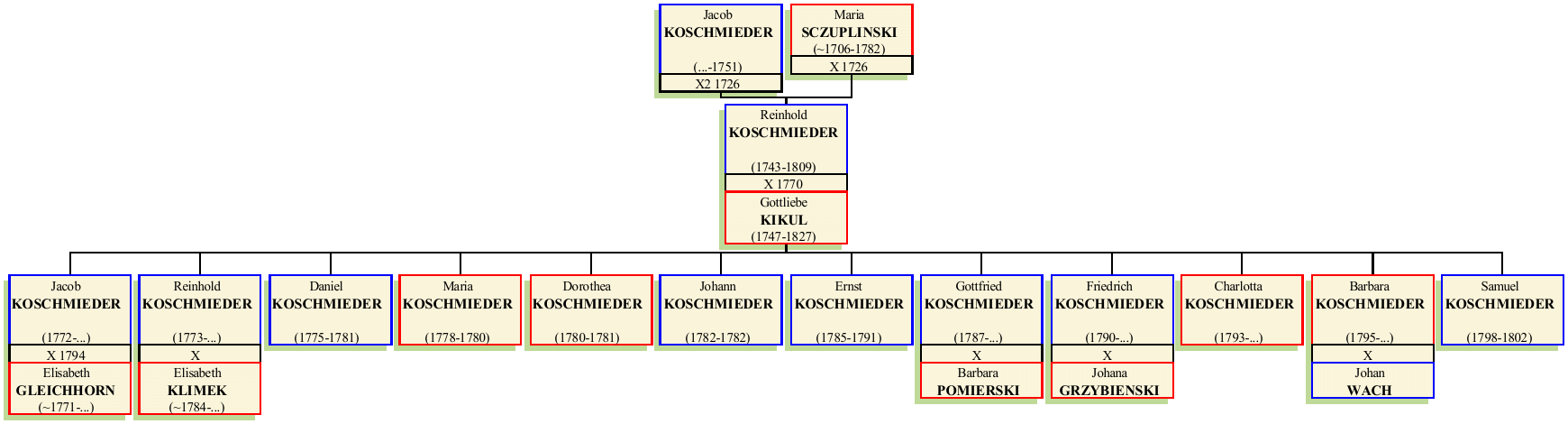 reinhold-koschmieder.png