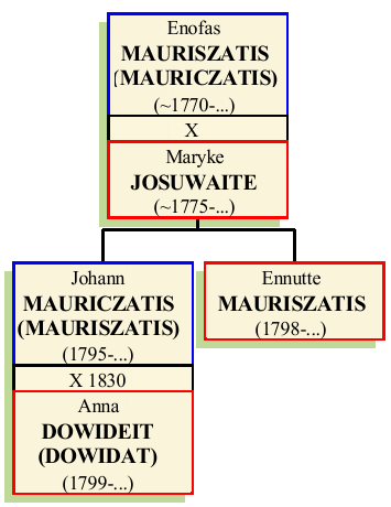 Enofas-Mauriszatis.png